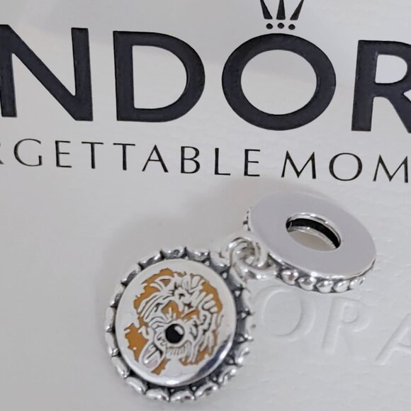 Pandora Doodle Love Dangle Charm Goldendoodle Pet Charm Doggy Pendant S925 ALE - Picture 1 of 7